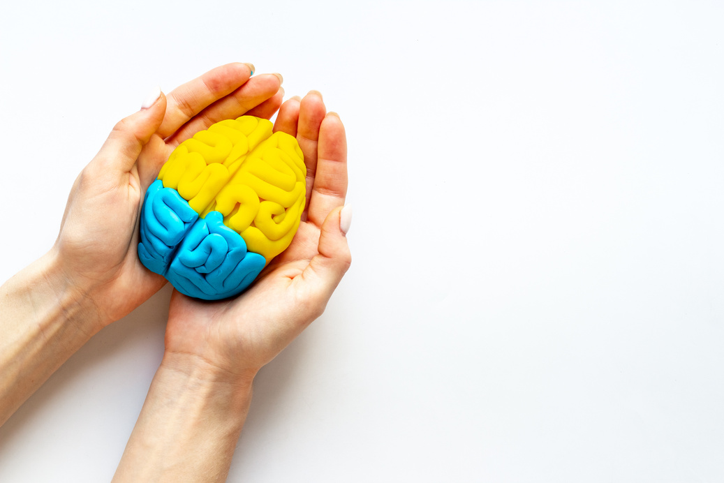 Mindfulness concept. Human brain model in hands, top view